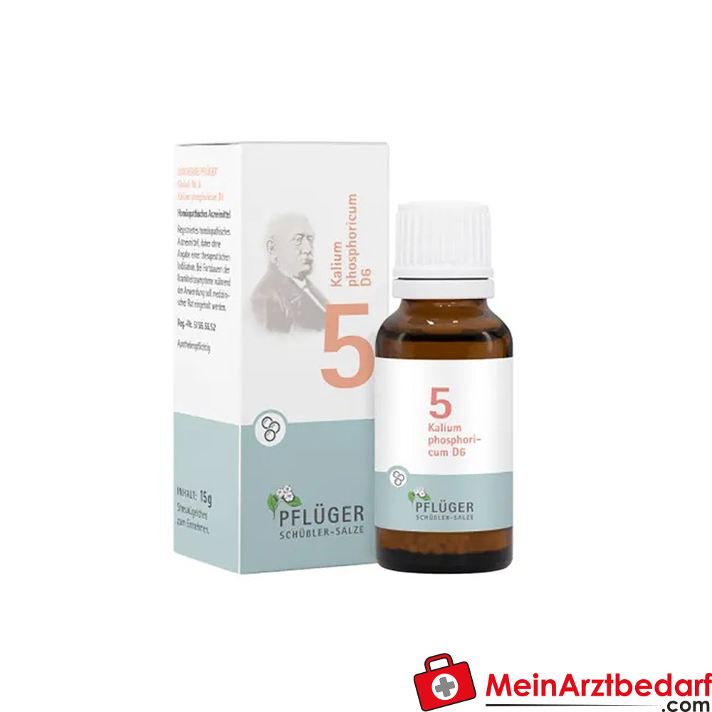 BIOCHEMIE PFLÜGER Nr. 5 Kalium phosphoricum D6.
