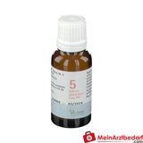 BIOCHEMIE PFLÜGER Nr. 5 Kalium phosphoricum D6.