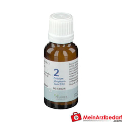 BIOCHEMIE PFLÜGER No. 2 Calcium phosphoricum D 12.