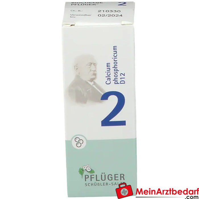 BIOCHEMIE PFLÜGER Nr. 2 Calciumfosforicum D 12