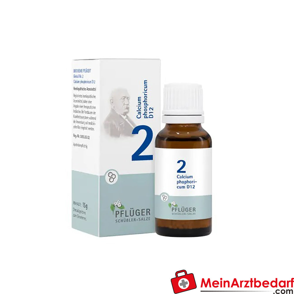 BIOCHEMIE PFLÜGER No. 2 Calcium phosphoricum D 12.