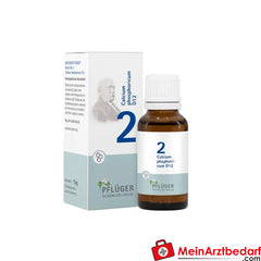 BIOCHEMIE PFLÜGER No. 2 Calcium phosphoricum D 12.