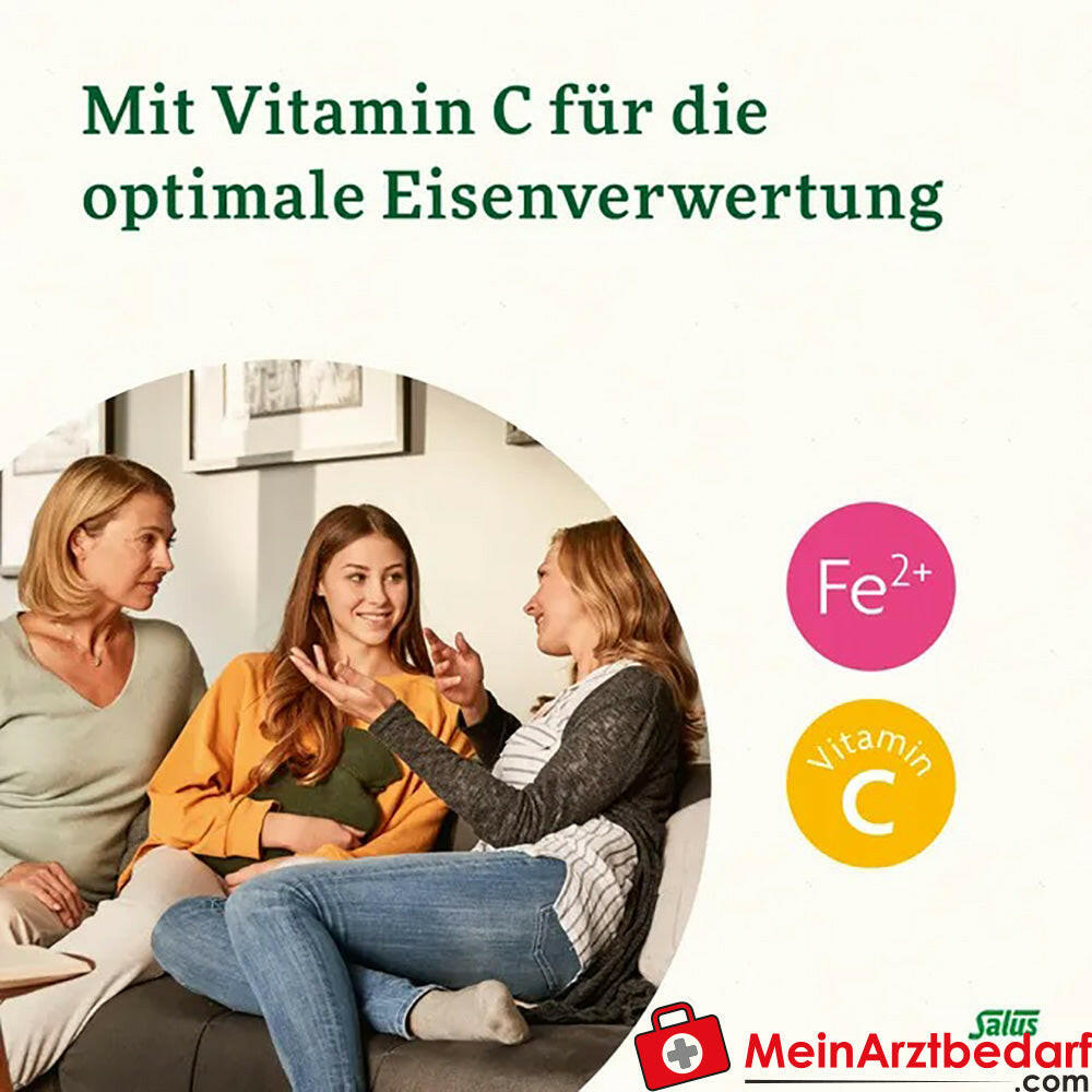 Salus® Kräuterblut® Floradix® Eisen Folsäure, 84 St..