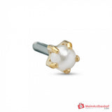 Blomdahl Erstohrstecker Tiffany Titan gold mit Perle, 4 mm, 10 Stk..