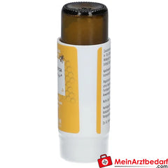 Apis mellifica D6 Globuli Pflüger®.