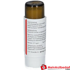 Bryonia D6 globules Pflüger®.