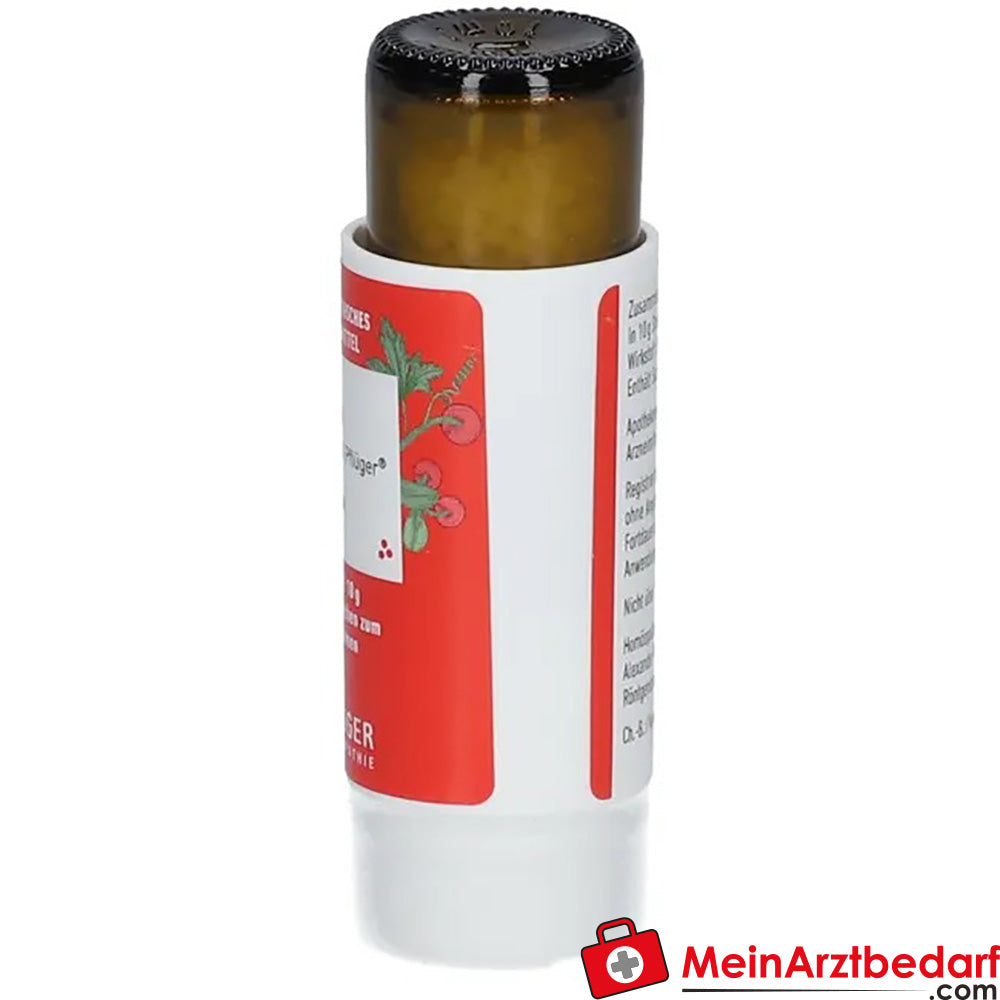 Bryonia D12 Globuli Pflüger® Rotbeerige Zaunrübe.