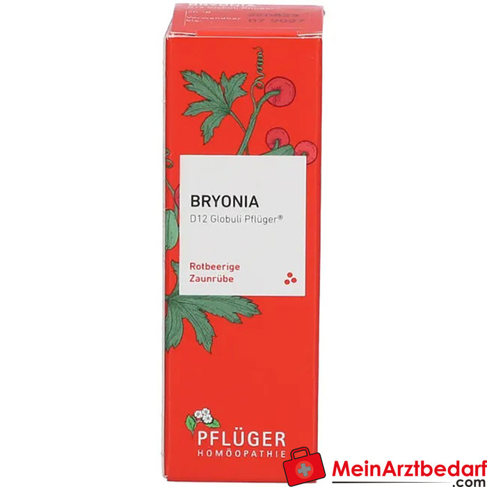 Bryonia D12 Globuli Pflüger® Rotbeerige Zaunrübe