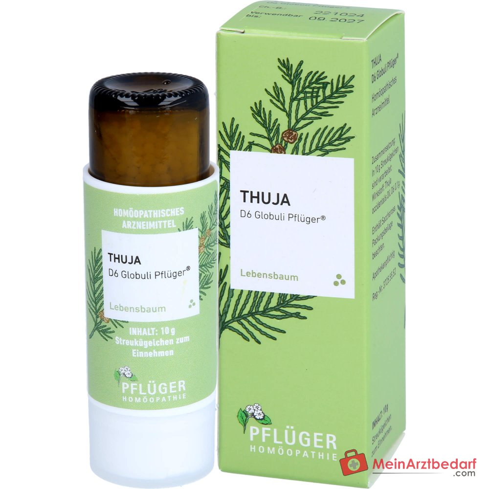 Pflüger Thuja D6 Globuli Thuja occidentalis D6 Streukügelchen 10 g
