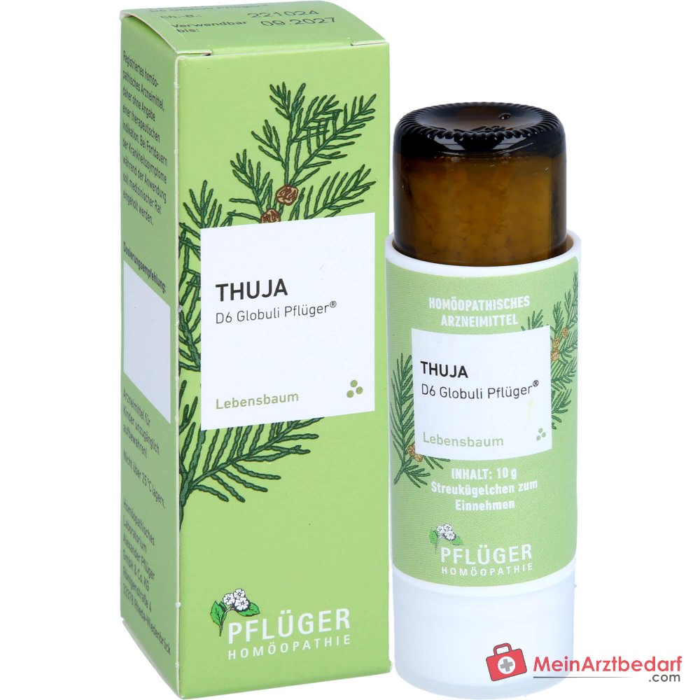 Pflüger Thuja D6 Globuli Thuja occidentalis D6 gránulos 10 g