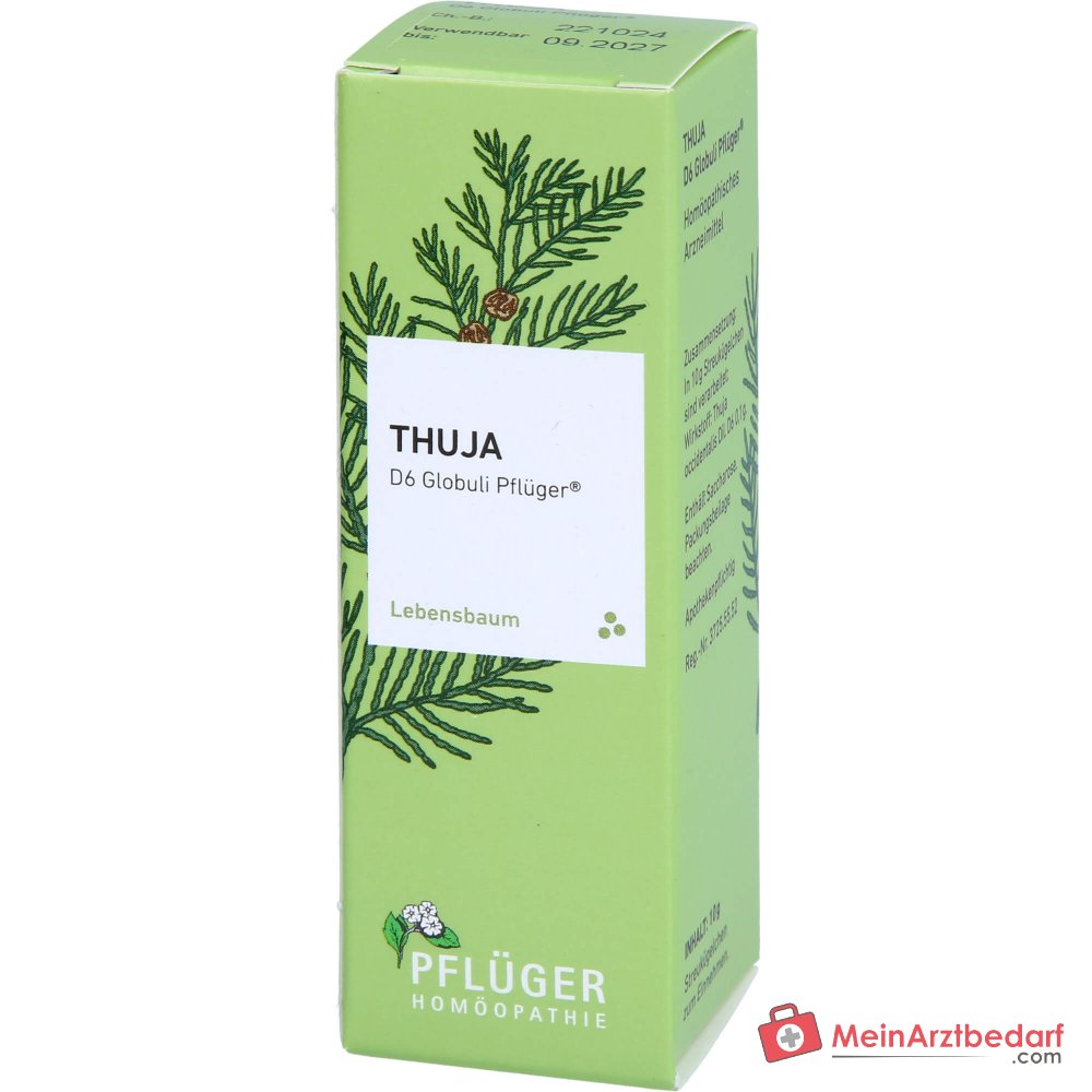 Pflüger Thuja D6 Globuli Thuja occidentalis D6 gránulos 10 g
