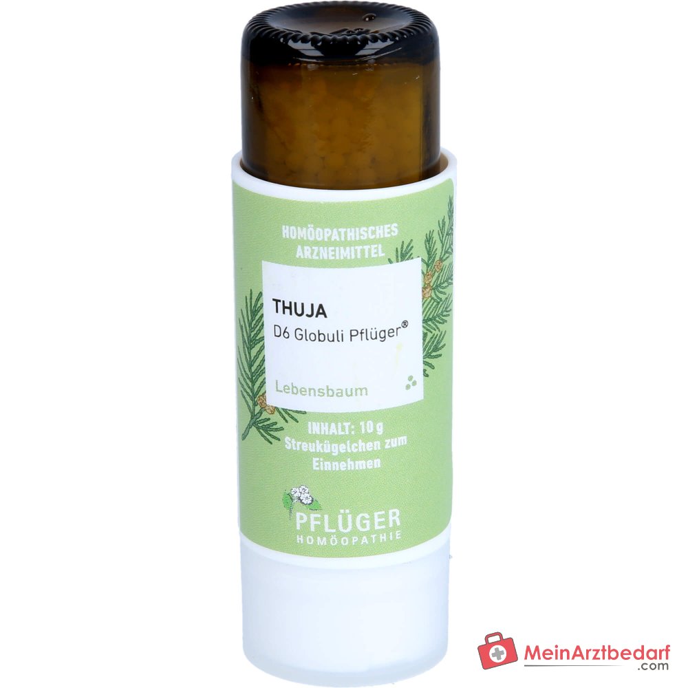 Pflüger Thuja D6 Globuli Thuja occidentalis D6 gránulos 10 g