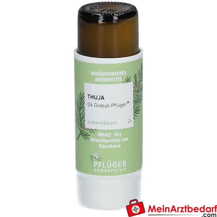 Thuya D6 globules Pflüger® (en allemand)