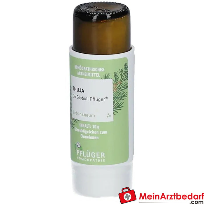 Thuya D6 globules Pflüger® (en allemand)