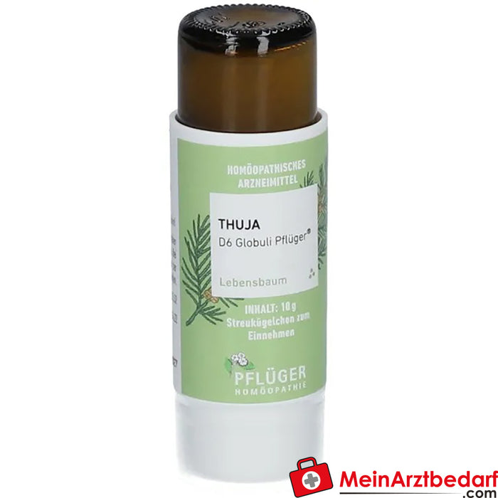 Thuya D6 globules Pflüger® (en allemand)