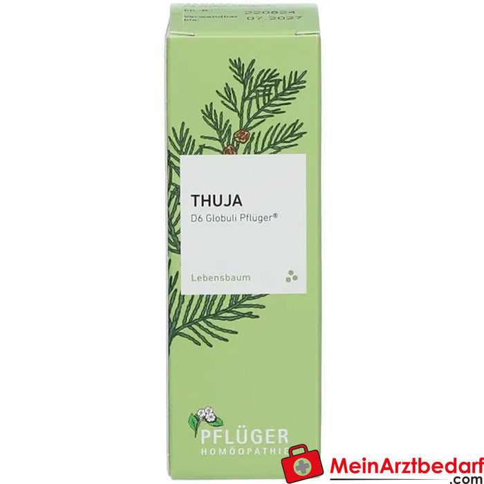 Thuja D6 Globules Pflüger® 普鲁格® 遒劲 D6 Globules