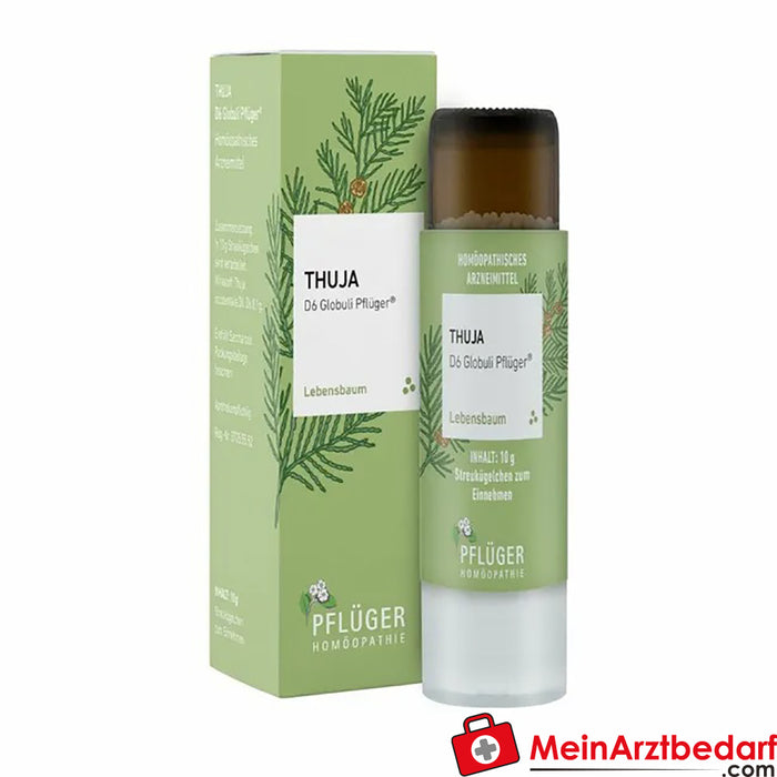 Thuya D6 globules Pflüger® (en allemand)