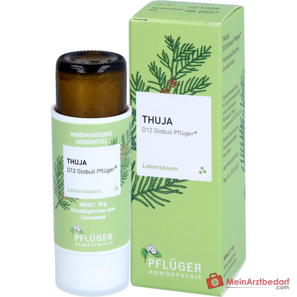 Pflüger Thuja D12 Globuli 10 g mit Dosierspender
