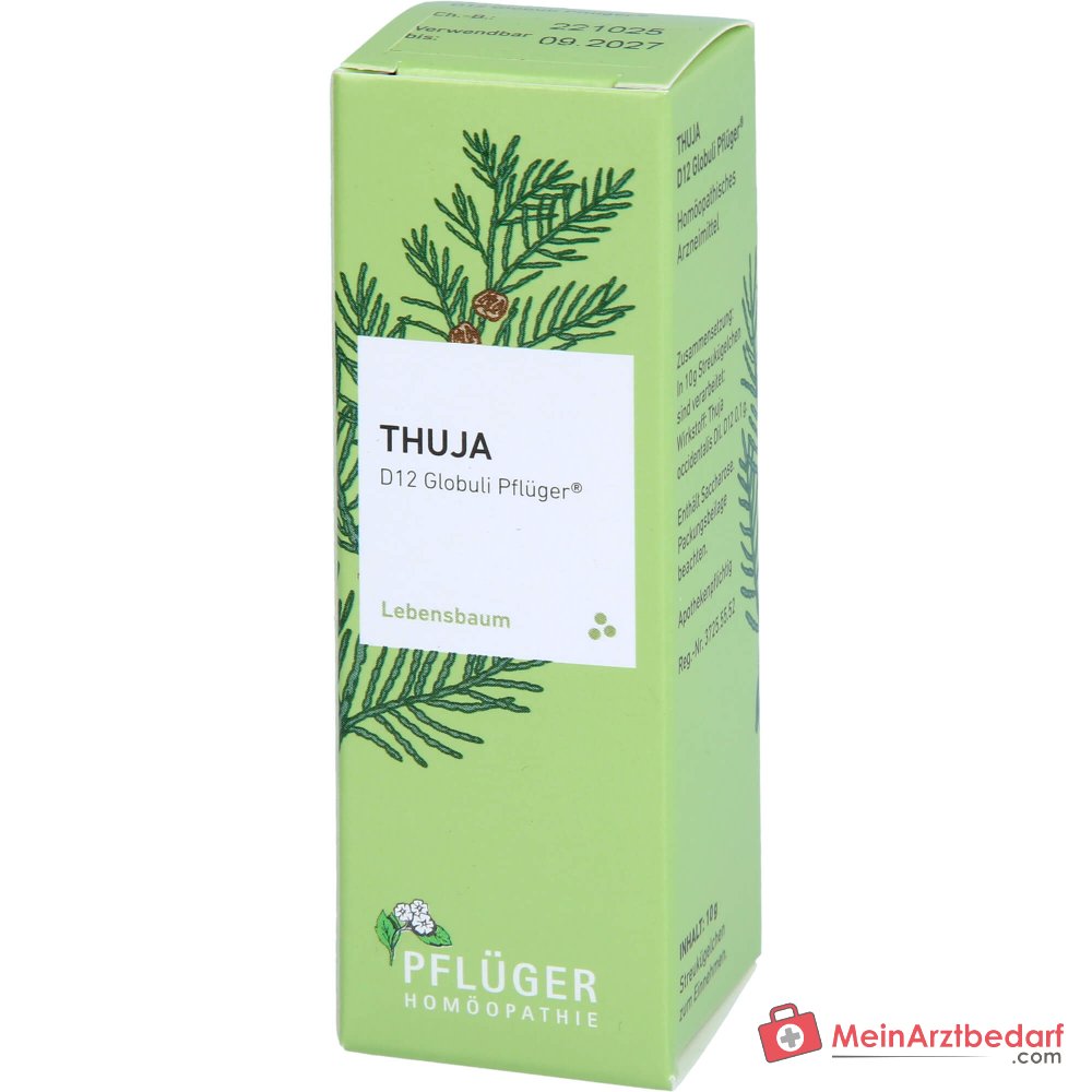 Pflüger Thuja D12 Globuli 10 g mit Dosierspender