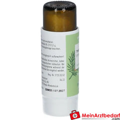 Thuja D12 Globuli Pflüger®.