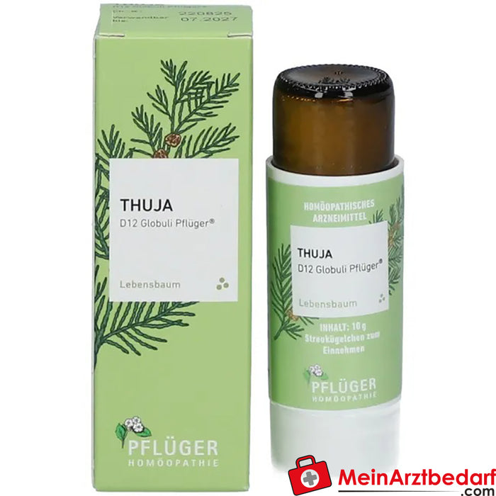 Thuja D12 Globules Pflüger®