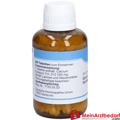 DHU Schüßler-Salz Nr. 1® Calcium fluoratum D12.