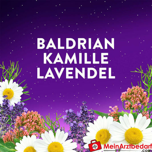 Wick ZzzQuil Gute Nacht Intens.