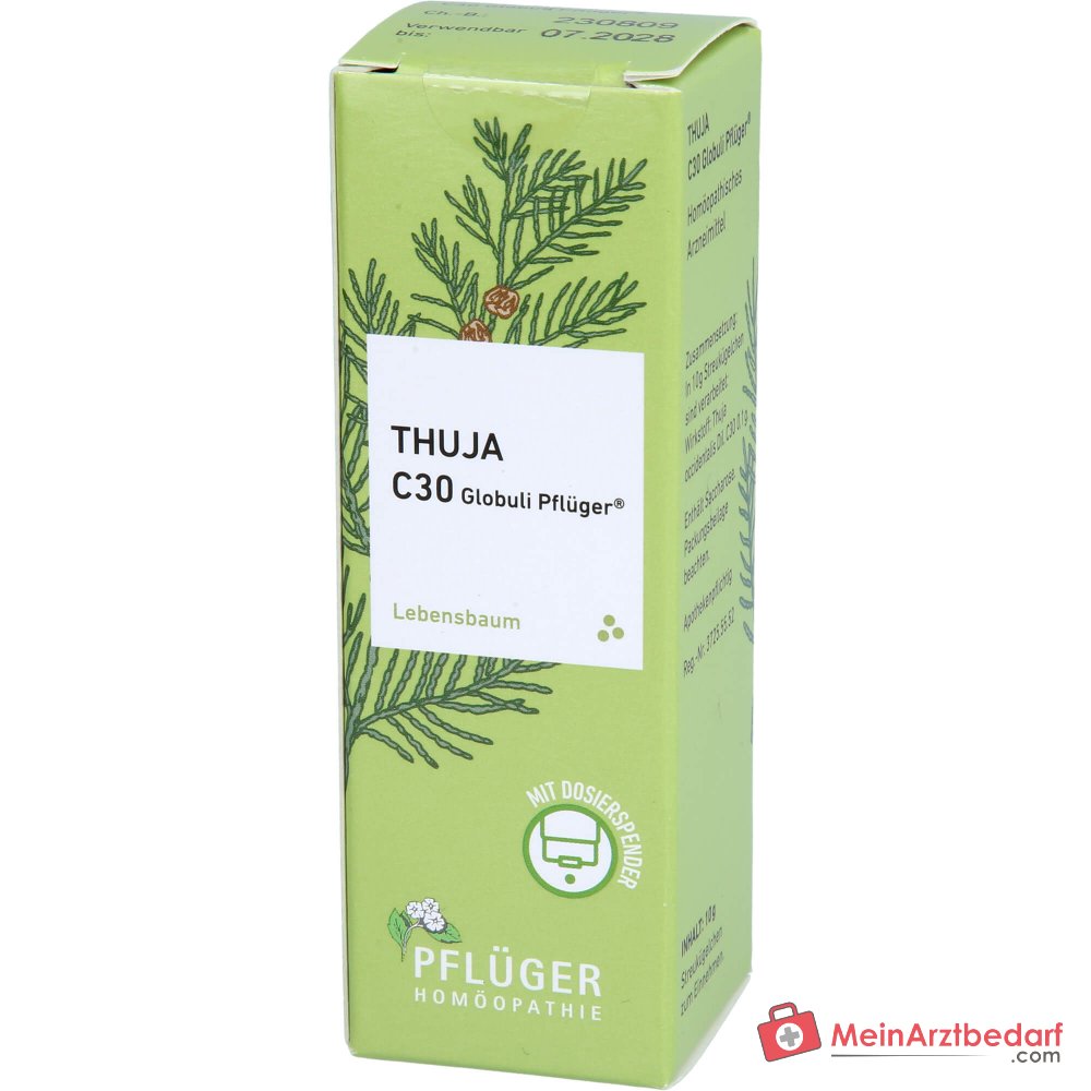 Pflüger Thuja extern Globuli Thuja occidentalis C30 (10 mg) 10 g