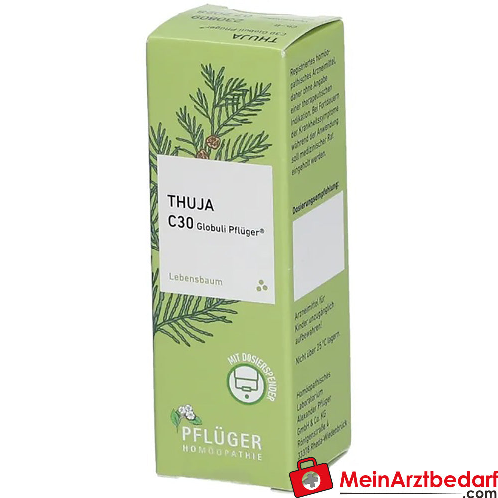 Thuja extern Globuli Pflüger®.