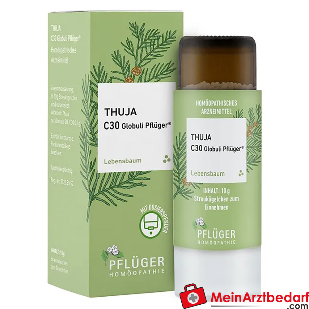 Thuja extern Globuli Pflüger®.