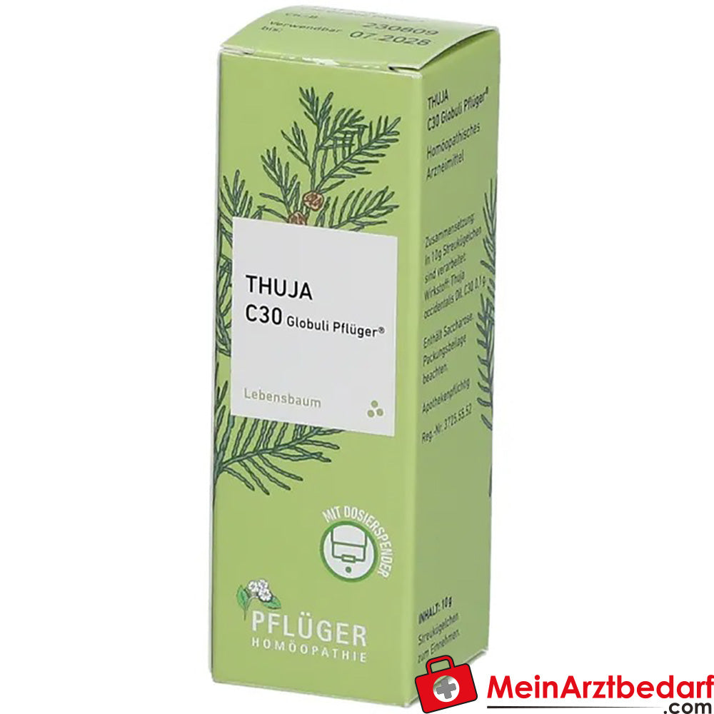 Thuja extern Globuli Pflüger®.