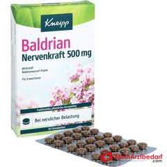 Kneipp Baldrian Nervenkraft 500 mg Filmtabletten, 30 St..