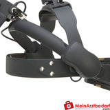 HEINE Omega 500-LED + DV1 + USB 2.0 Kabel.