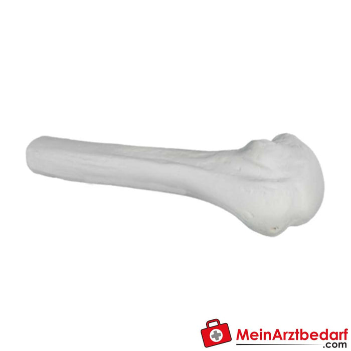 Arrow® EZ-IO® humerus training bone with or without skin piece