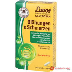 Luvos Gastrosan Simeticon / Mineralerde Kapseln, 30 St..