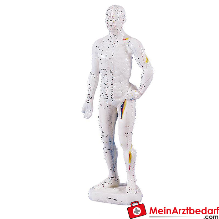 Erler Zimmer Figure d'acupuncture chinoise