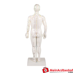 Erler-Zimmer Chinesische Akupunkturfigur.