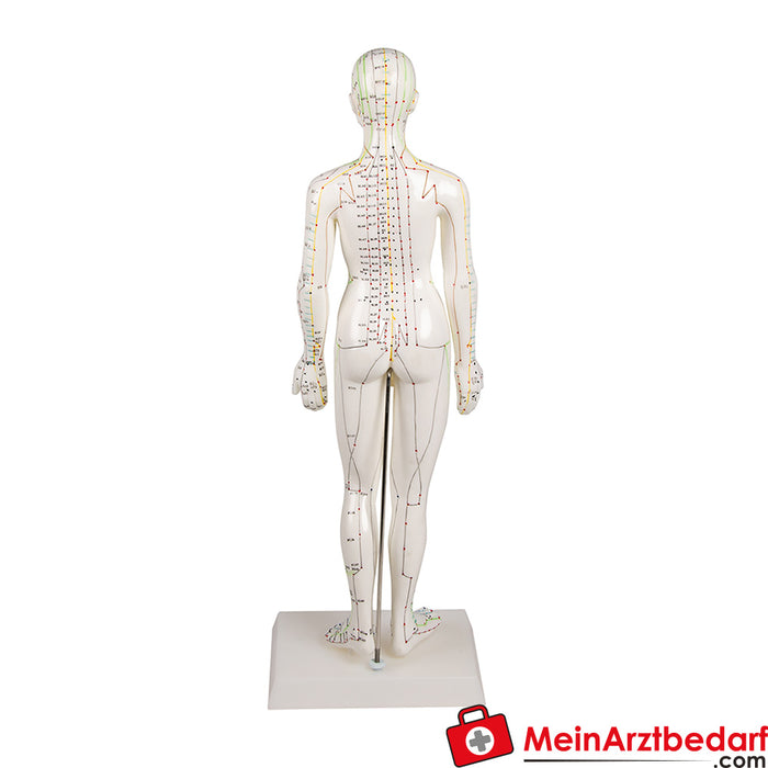 Erler Zimmer Figure d'acupuncture chinoise