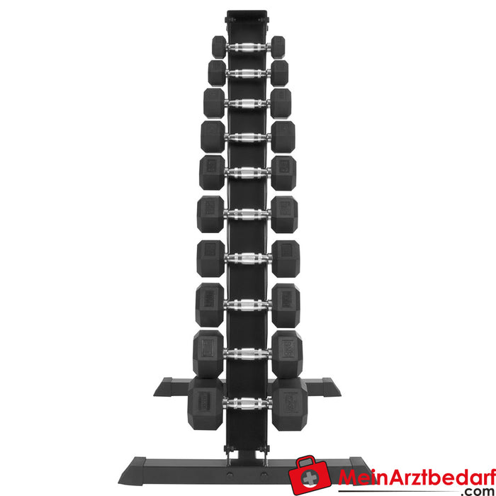 Dambıl standı seti, 10 çift altıgen dambıl, 1-10 kg, UxGxY 74x62x128 cm