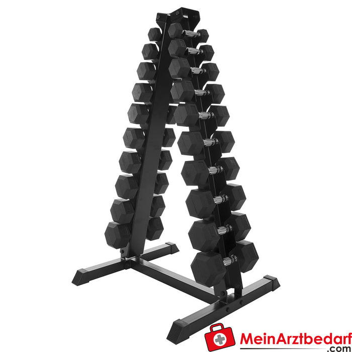 Dumbbell stand set with 10 pairs of hex dumbbells, 1-10 kg, LxWxH 74x62x128 cm