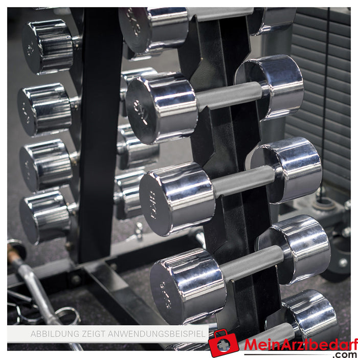 Dumbbell stand set with 10 pairs of chrome dumbbells, 1-10 kg, LxWxH 74x62x128 cm