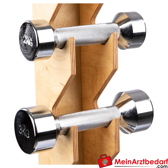 Wall bracket set incl. chrome dumbbells, 1-6 kg, 6 pieces