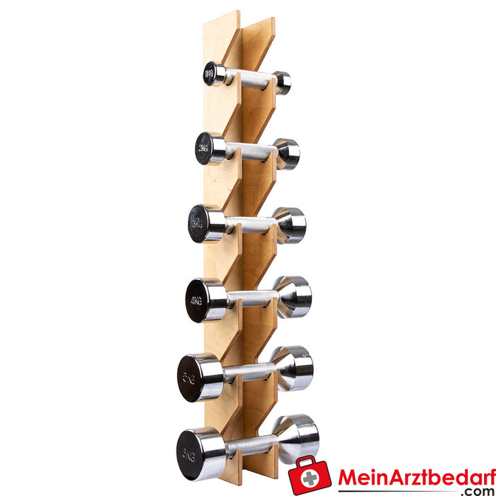 Wall bracket set incl. chrome dumbbells, 1-6 kg, 6 pieces