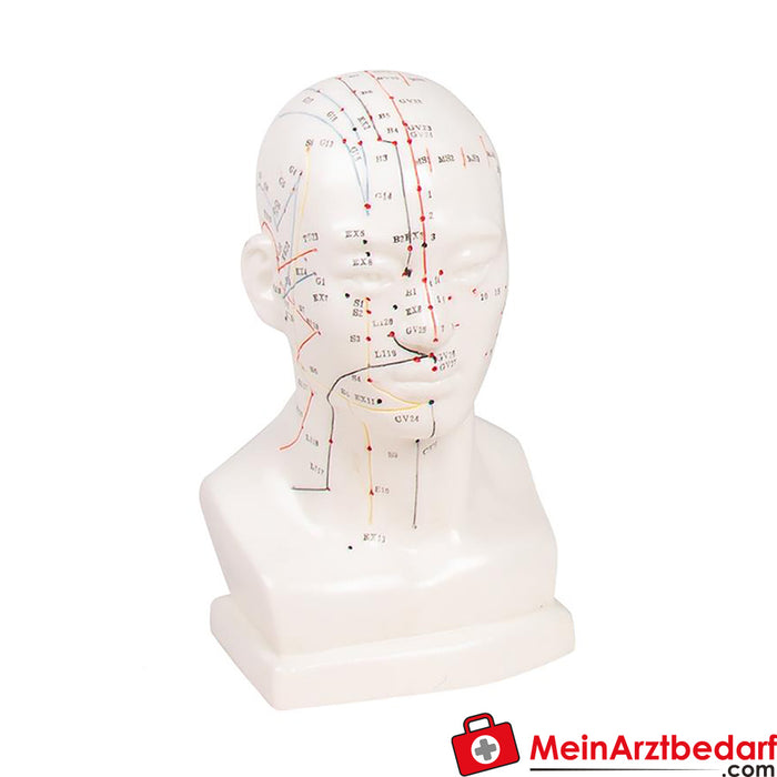Erler Zimmer Chinese acupuncture head