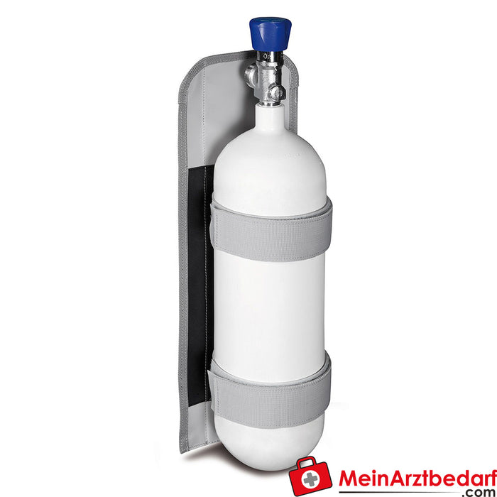 Oxygen holder for small oxygen cylinders