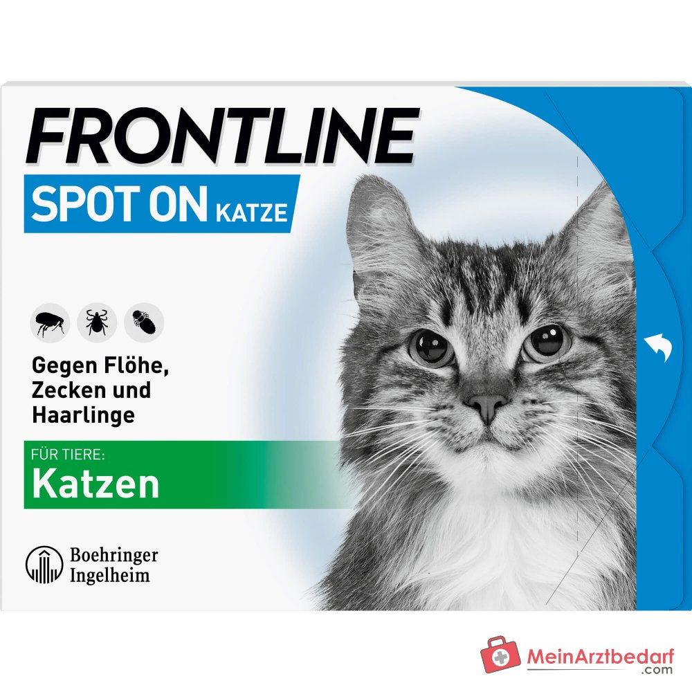 FRONTLINE Spot On dla kotów Fipronil roztwór do zakraplania 6 pipet
