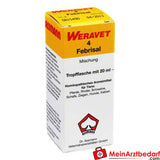 Febrisal 4 vet 20 ml