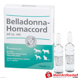 Belladonna homaccord vet, 5 st