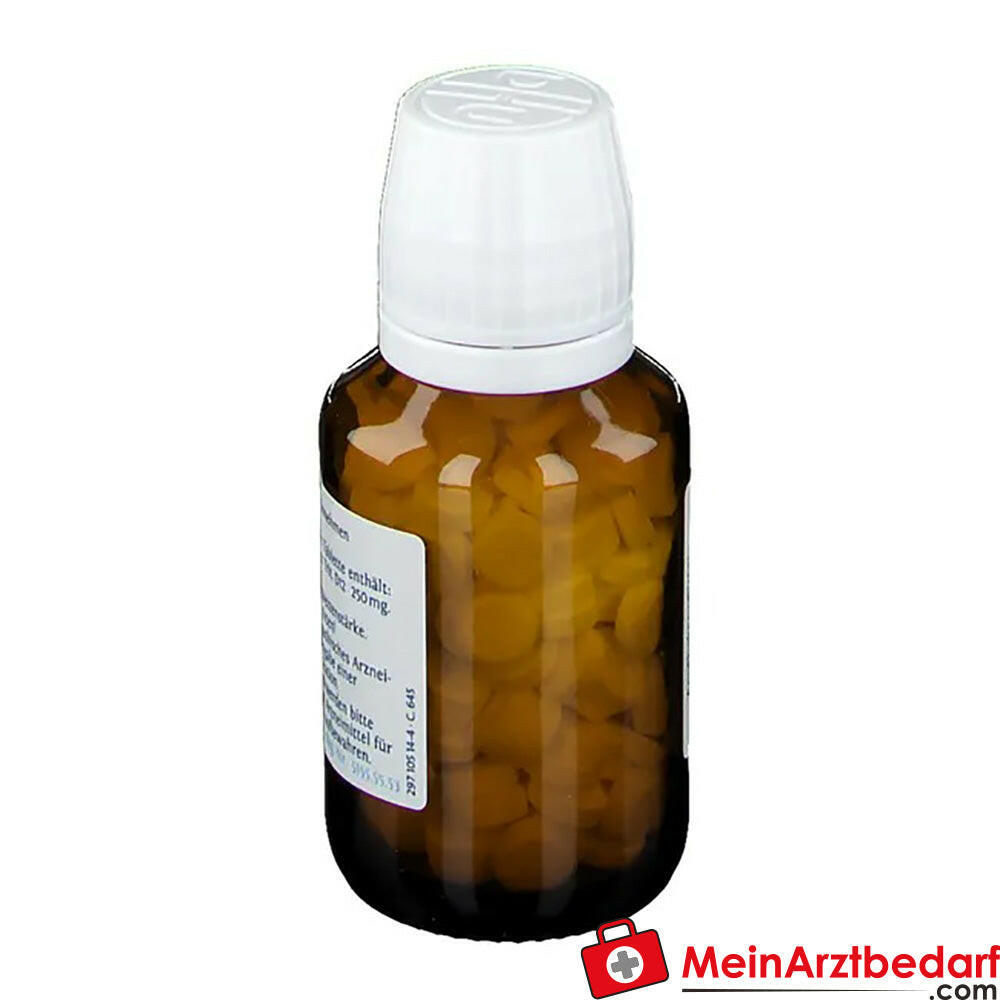 DHU Schüßler-Salz Nr. 5® Kalium phosphoricum D12.