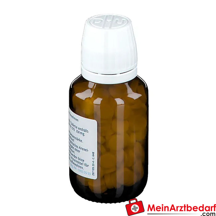 DHU Schuessler Zout Nr. 8® Natriumchloratum D12